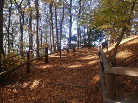 Region [summer] (>5 km)