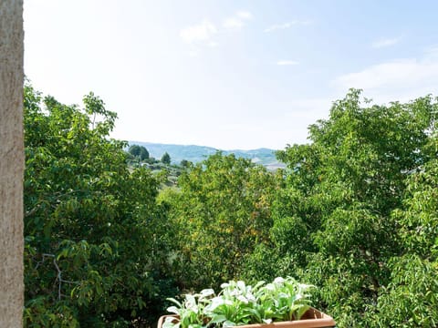 View from Holiday Home [summer]