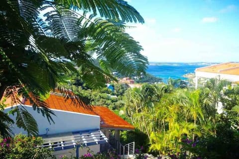 View from top of Ginger Thomas, St John 