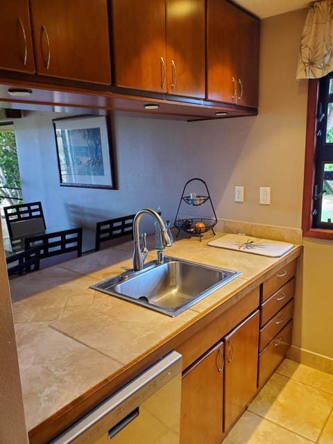 Ocean view from kitchen