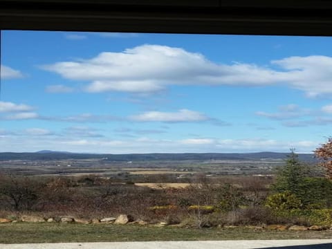 Region [summer] (>5 km)