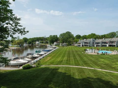 The Large Lawn