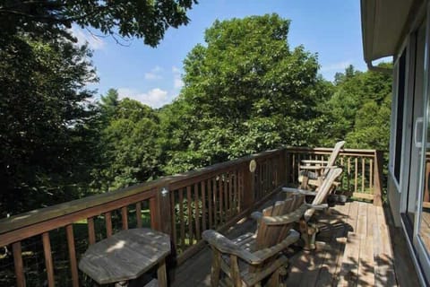 Off the sunroom is a south facing porch offering a winter view of the distant Johns River Gorge