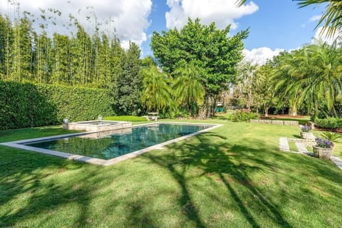 Summer is a state of mind, and our pool is the portal.