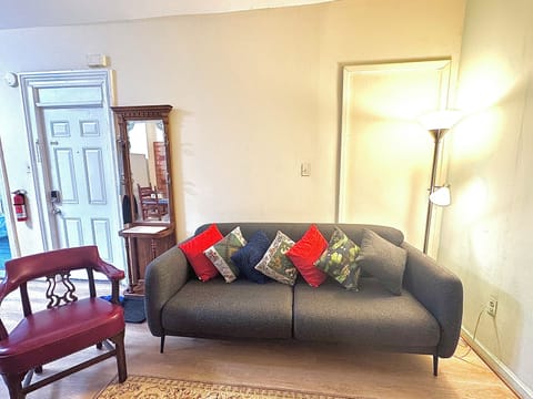 Sitting area with the sofa bed