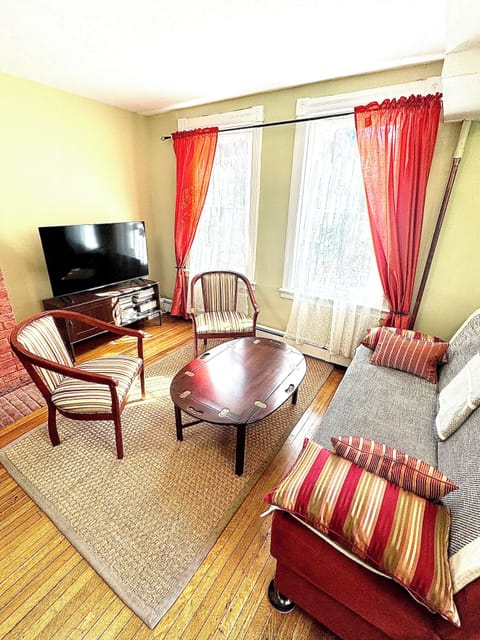 Living room with one sofa bed that can be a twin size bed 