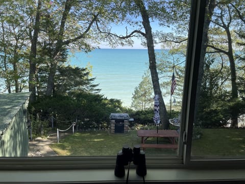 View from the kitchen window