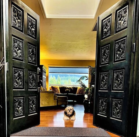 French door entrance with beautiful natural sunlight coming through skylight.  