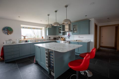 Fully fitted kitchen with oven, hob, fridge, dishwasher and wine fridge