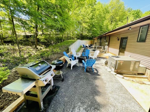Gas and Charcoal Grills next to the fire pit