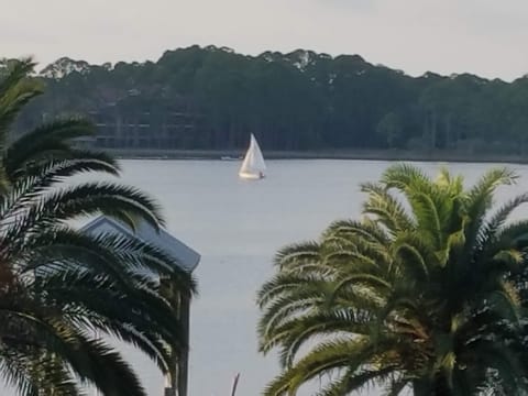 Our Backyard on Lake Powell