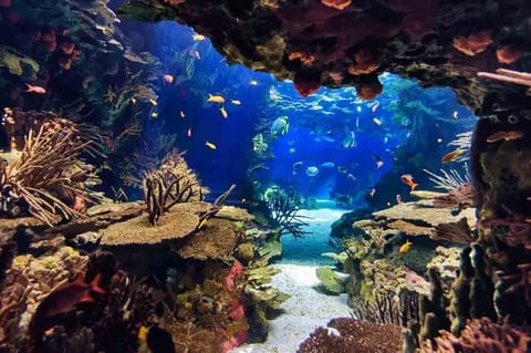 Omaha's world famous Henry Doorly Zoo and Aquarium is less than 15 miles away