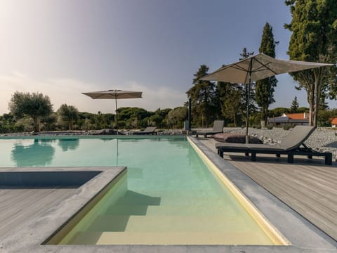 Water, Sky, Property, Swimming Pool, Plant, Tree, Outdoor Furniture, Shade, Umbrella, Sunlounger