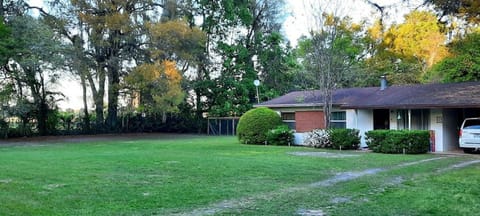 Left side of the front and side yard