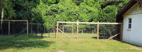 Fenced in yard for exercising your dog.