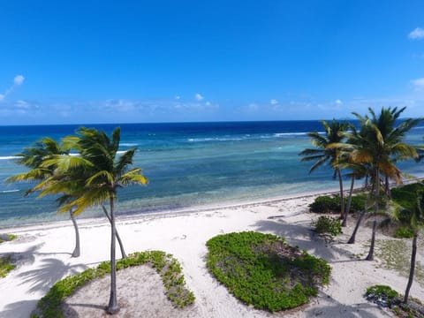 Welcome ! Pelican Cove Beach is a blue flag beach 