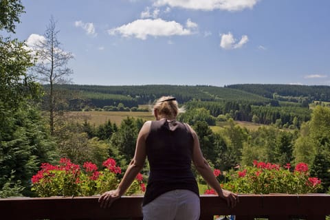 View from Holiday Home [summer]