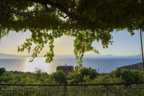 View from the garden