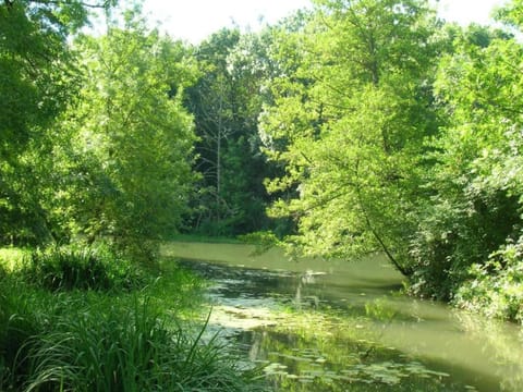 Surroundings [summer] (1-5 km)