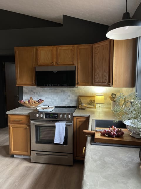 Kitchen : Oven/stove, microwave, dishwasher, and fridge 