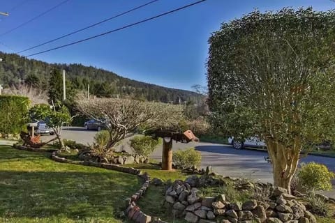 View from house towards Redwood State and National Parks