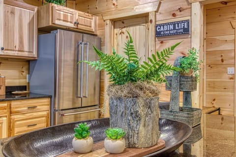 Sweet Mimosa Lodge's fully equipped kitchen