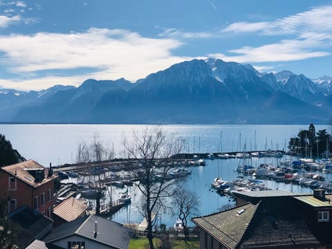 View from balcony / Lake Leman & Alps overlooking port of Basset Clarens