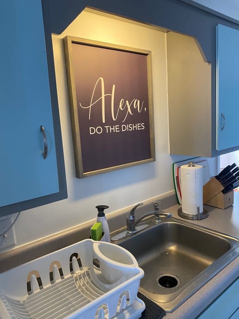 Who needs a dishwasher when you have Alexa?!?! LOL Large Refrig & Stove too.