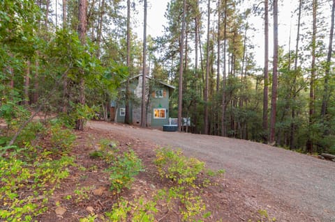 Incredibly secluded - you'll feel like the forest is completely yours!