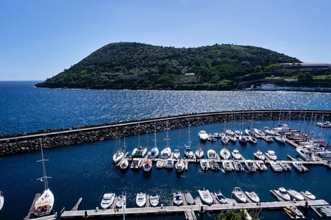 From the terrace you have an amazing ocean view