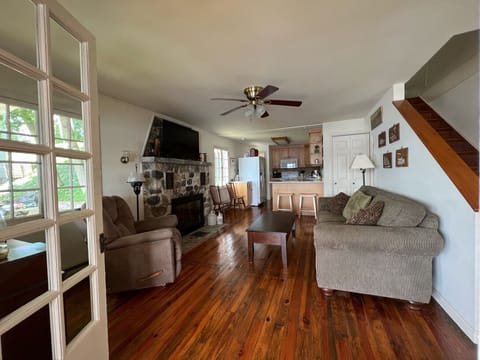 Living Room and Kitchen View
