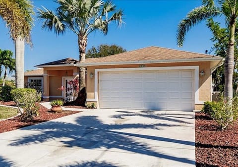 Palm lined driveway