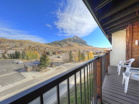 Three Seasons #305, Crested Butte Vacation Rental - Three Seasons #305, Crested Butte Vacation Rental