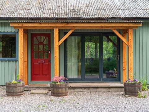 Plant, Flower, Property, Window, Flowerpot, Wood, Houseplant, Building, Wall