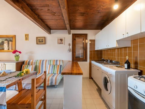 Cabinetry, Picture Frame, Countertop, Tap, Sink, Plumbing Fixture, Kitchen, Wood, Houseplant, Architecture