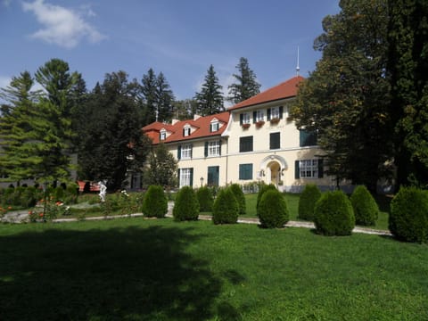 Charming Vila golf with park. It is located in center of Rogaška slatina 