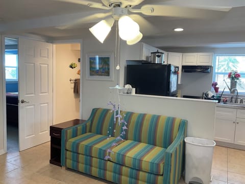 Living Room Downstairs with 2 Hide a Beds