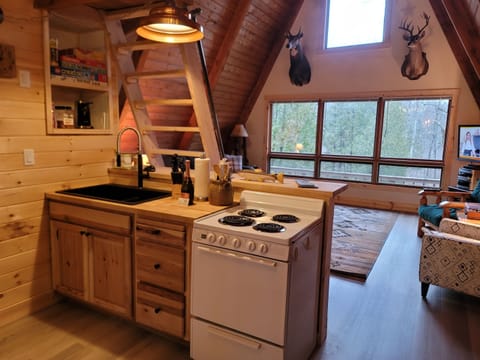 Kitchen and living room
