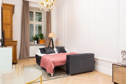 Comfortable, fold-out sofa in the living room. 