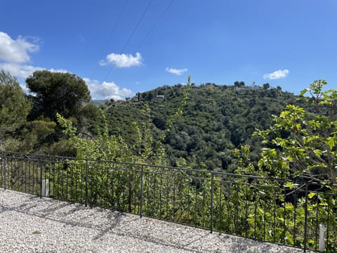 Superb villa with swimming pool for seasonal rental July and August 8/9 persons Villa in Nice