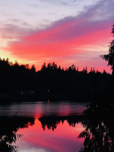 Gorgeous sunsets from the lake house