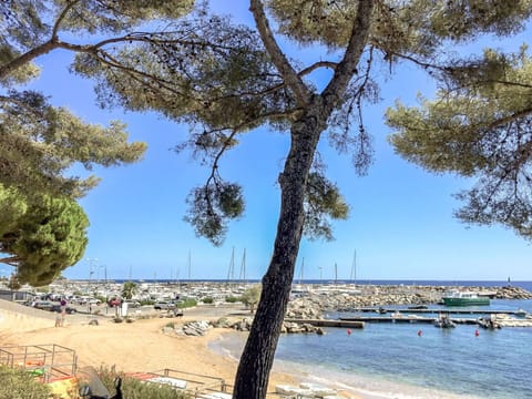 Tree, Sky, Beach, Daytime, Sea, Woody Plant, Coast, Shore, Tourism, Vacation
