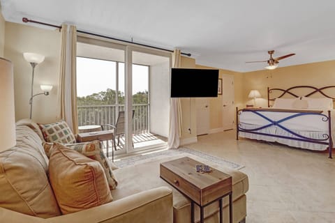 A large wall mounted Smart TV can be rotated to view in both the living and sleeping areas.