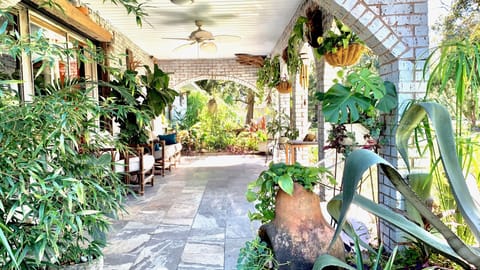 Front porch; exotic plants, and a great place for coffee in am.