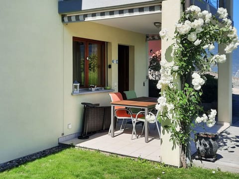 Plant, Flower, Building, Table, Door, Chair, Shade, Interior Design, Window, House