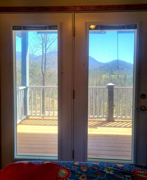 Winter Views from the Zebra room 