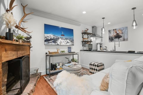 Living Room Electric Fireplace. Netflix Included.