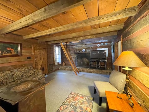 Living Area - Living area with wood burning fireplace