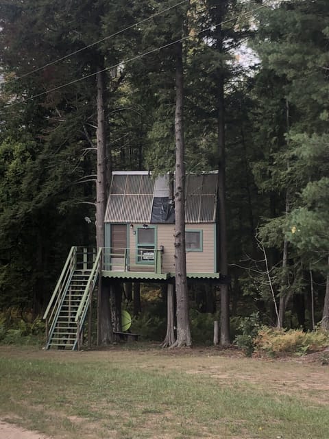 The Ripples Treehouse