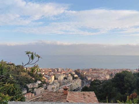 Very nice type 2 apartment in a quiet location with parking Apartment in Menton